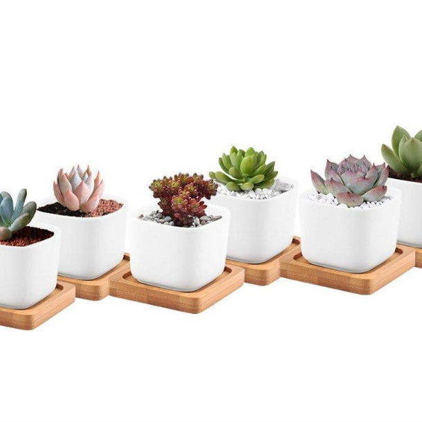 loomrack Cubic Ceramic Planter Plot in Bamboo Tray Flower Pots & Planters