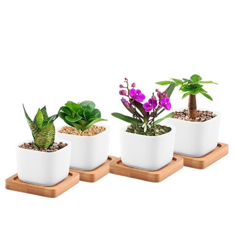 loomrack Cubic Ceramic Planter Plot in Bamboo Tray Flower Pots & Planters